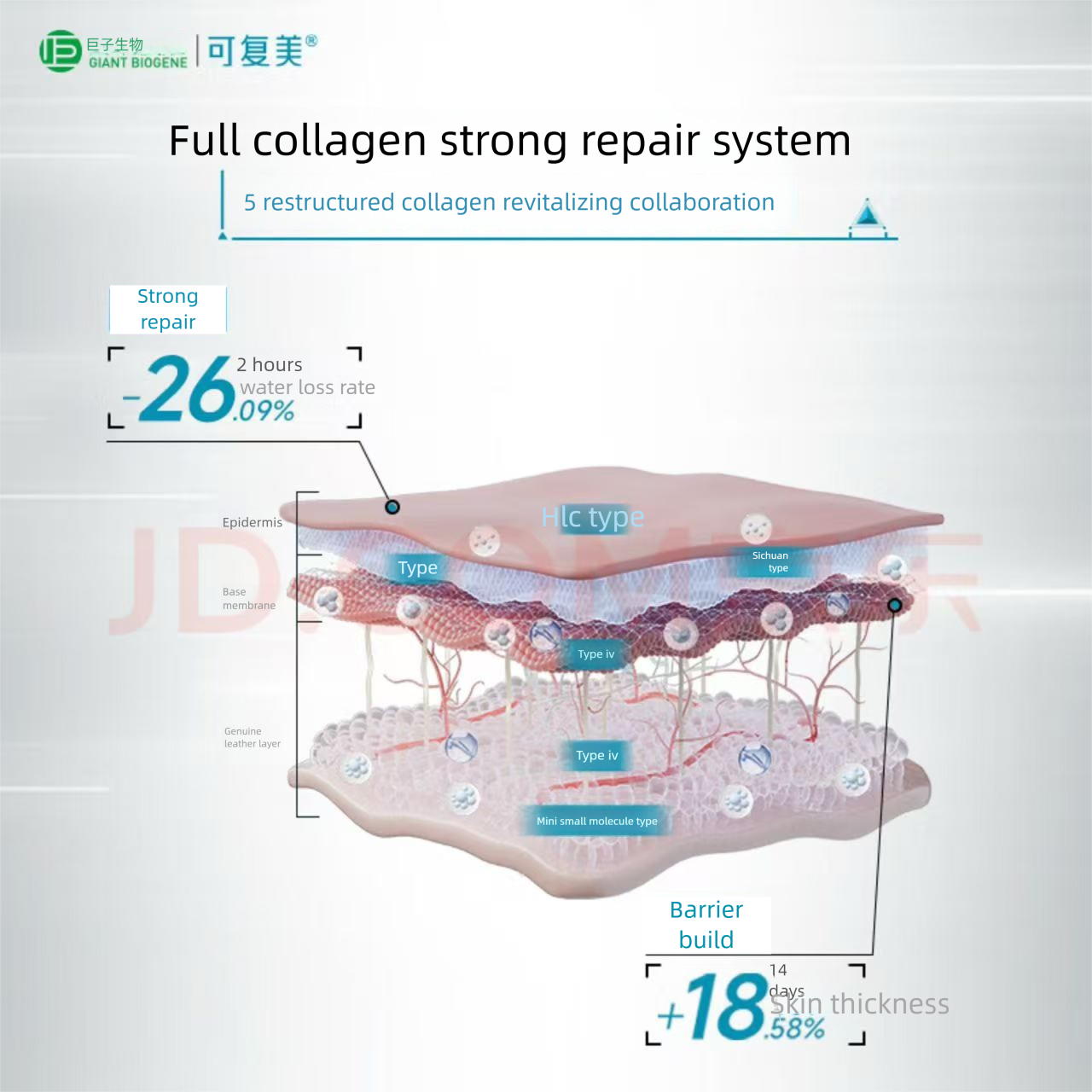 Recombinant Collagen Restoration Single Use