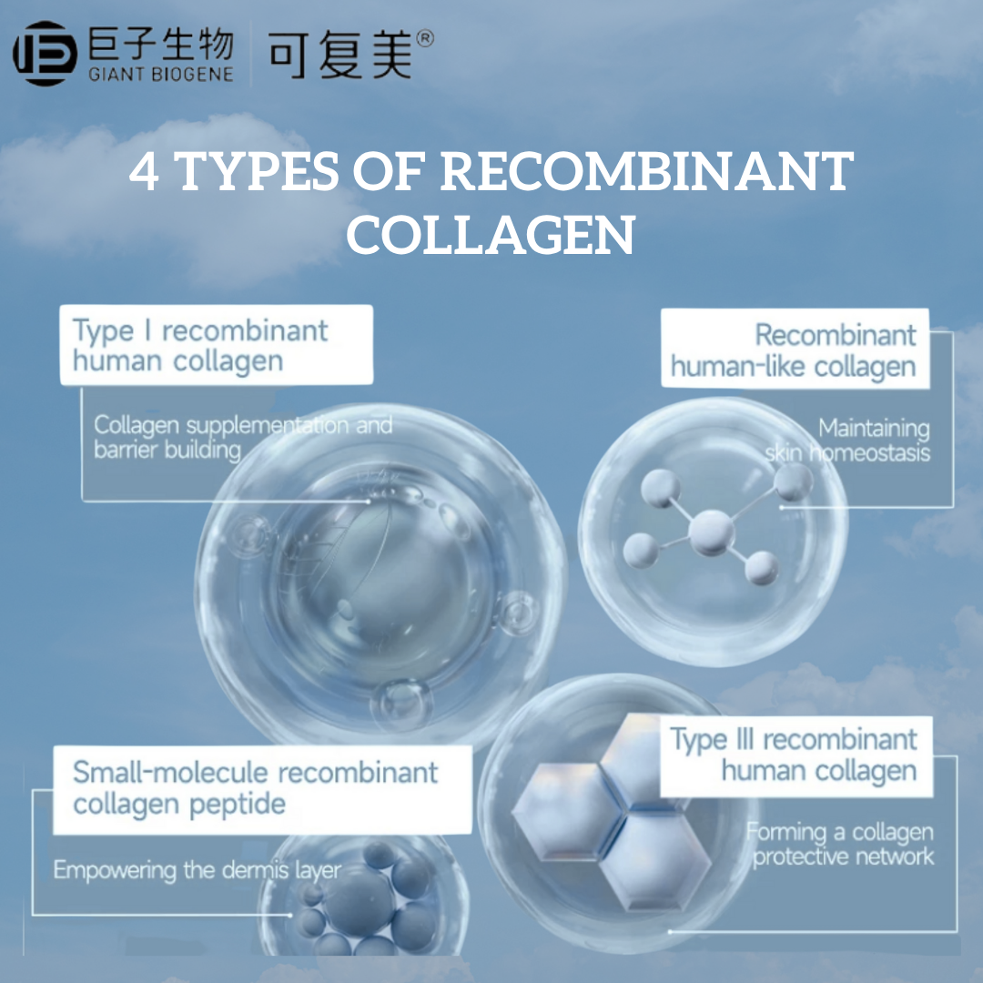 重组胶原蛋白修复一次性精华